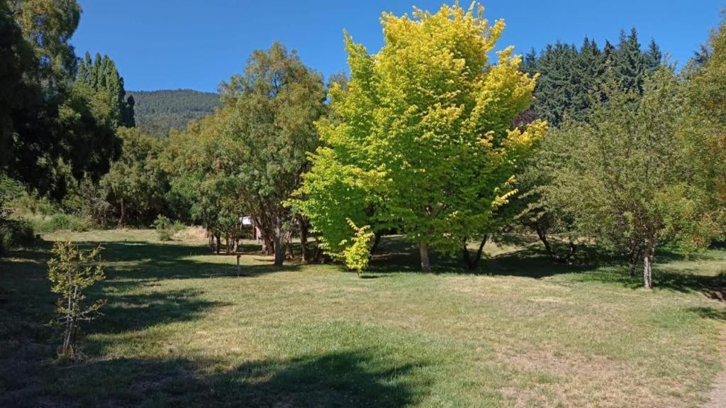 Rupu Pehuen Aparthotel San Carlos de Bariloche Eksteriør bilde